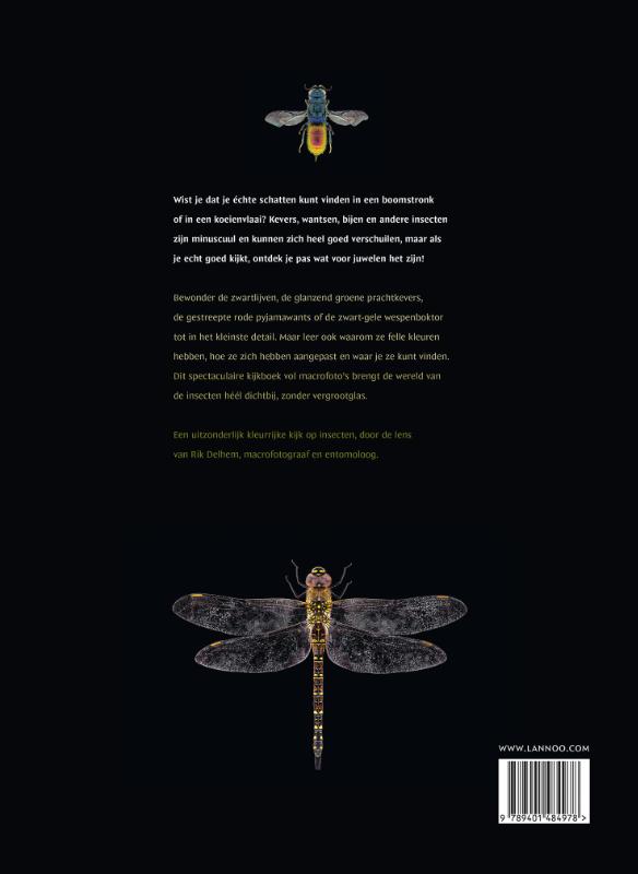 Achterkant van Een boek vol insecten