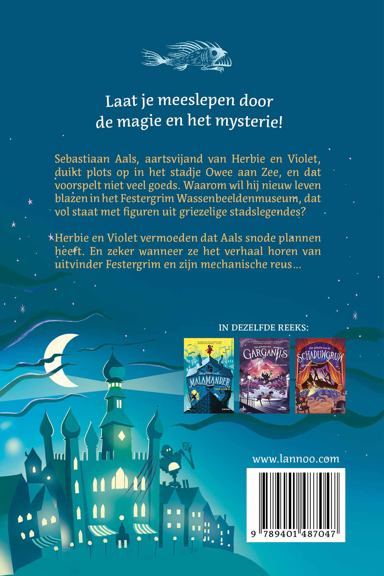 Achterkant van Het geheim van Festergrim