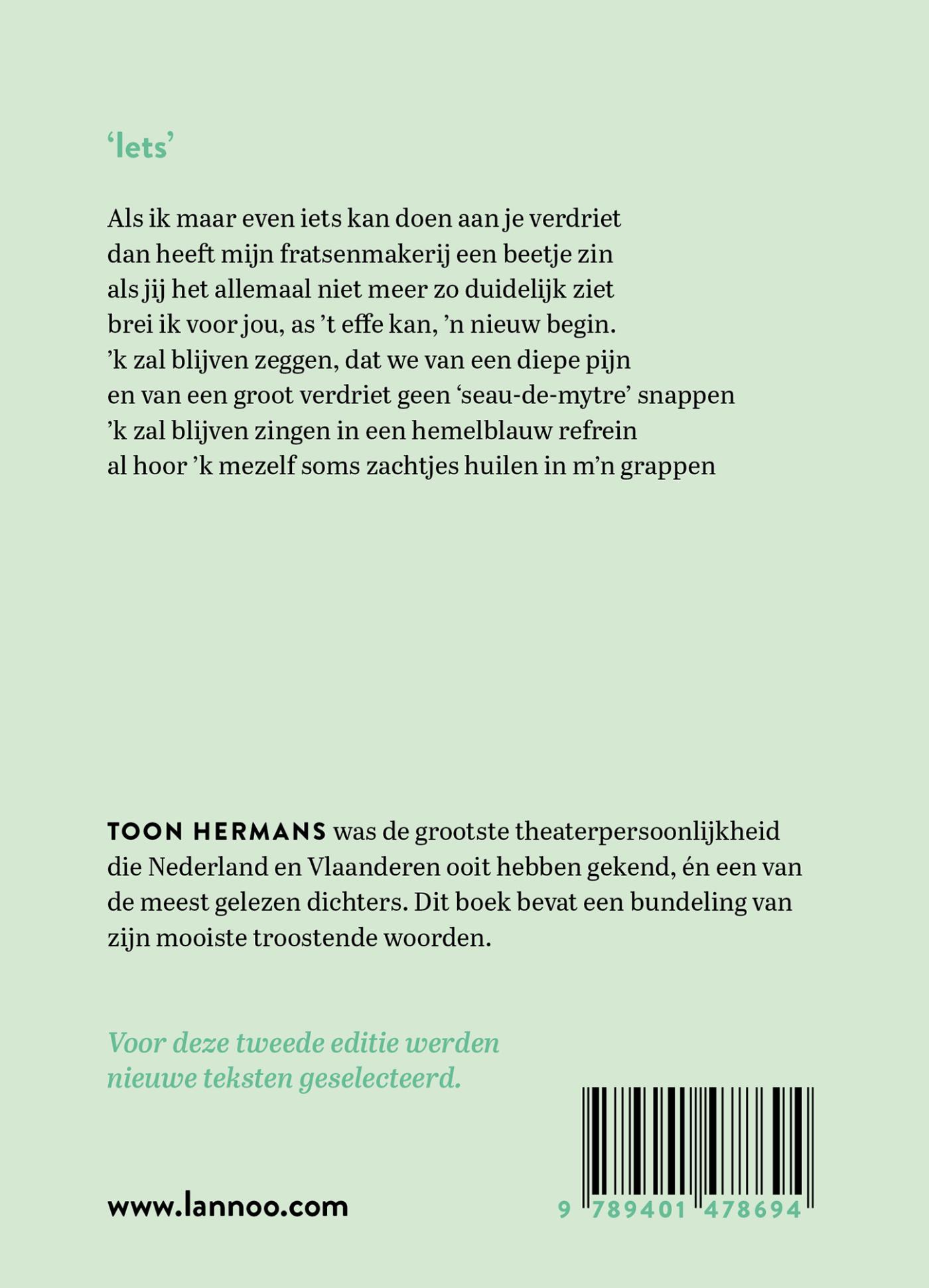 Achterkant van In de stilte zal ik je opnieuw ontmoeten