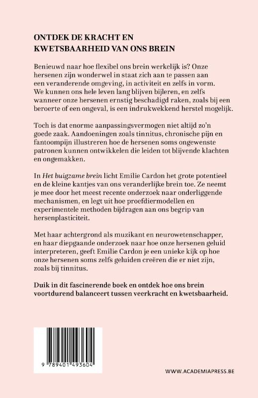 Achterkant van Het buigzame brein