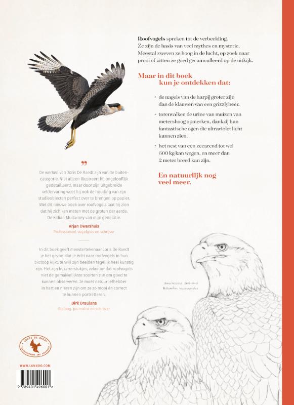 Achterkant van Roofvogels