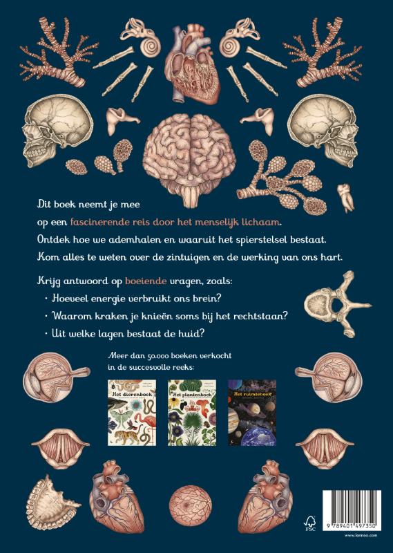 Achterkant van Het mooiste boek van het menselijk lichaam