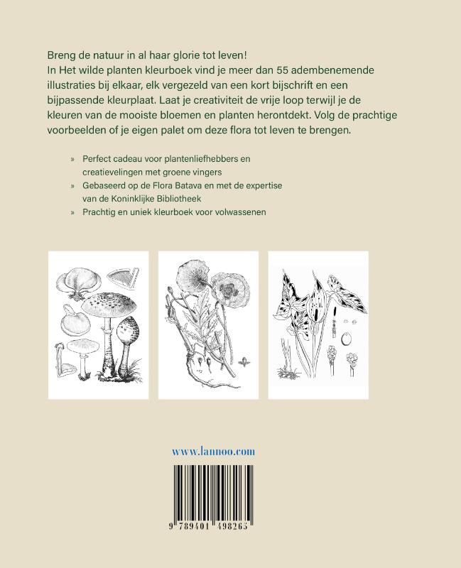 Achterkant van Het wilde planten kleurboek