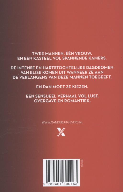 Achterkant van Negentig dromen van Elise