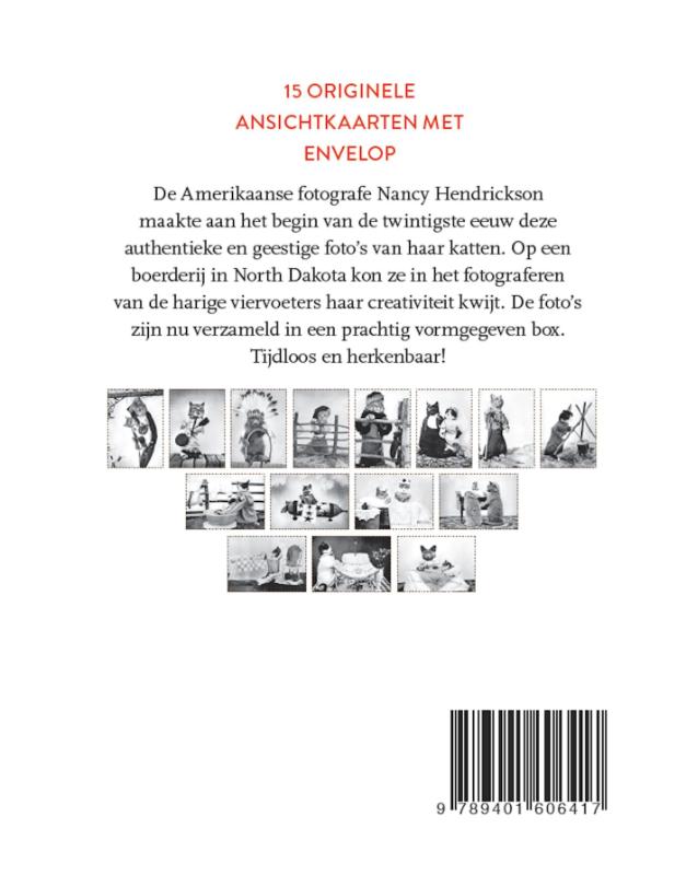 Achterkant van De beschaafde kat