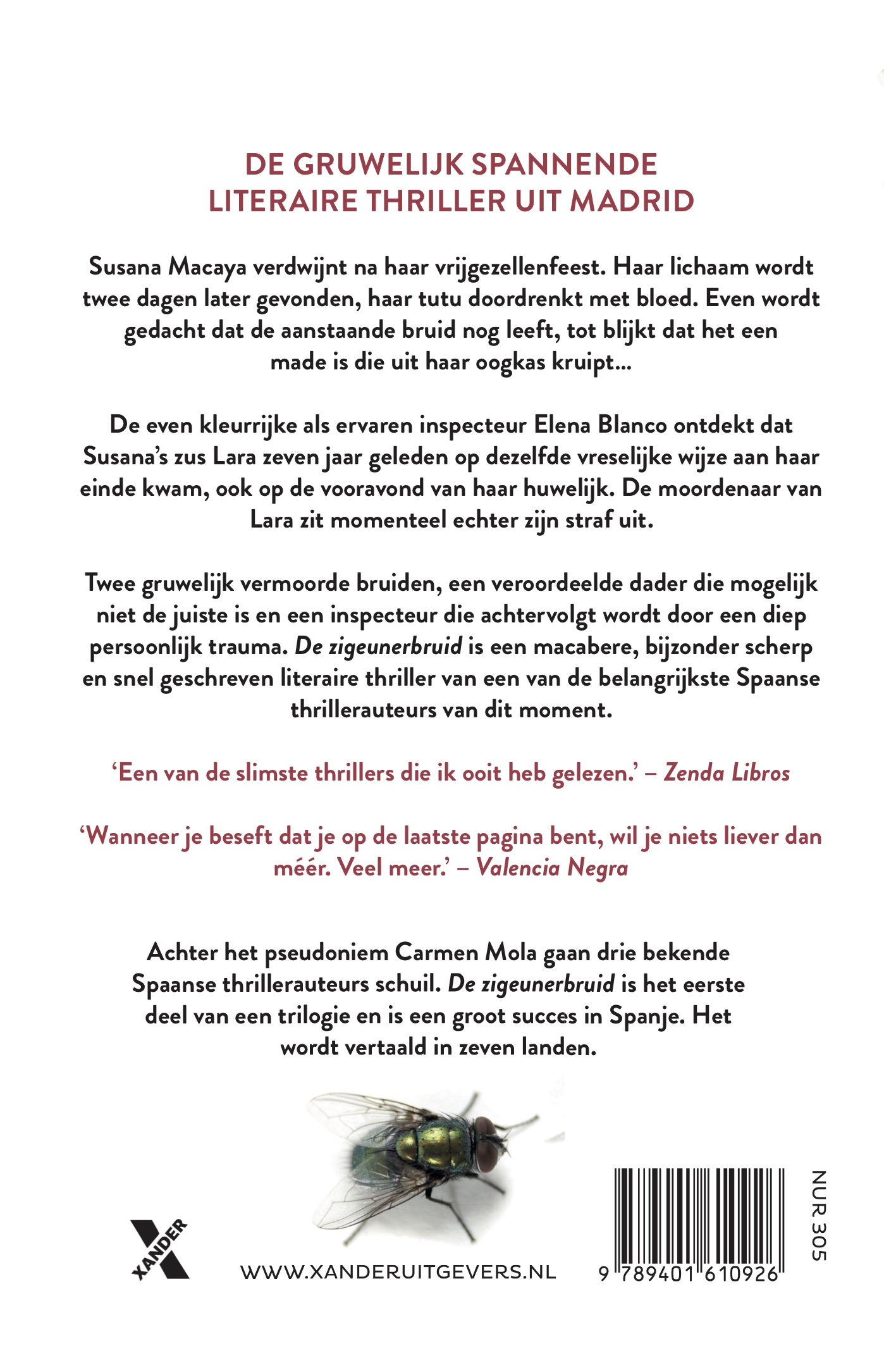 Achterkant van De zigeunerbruid