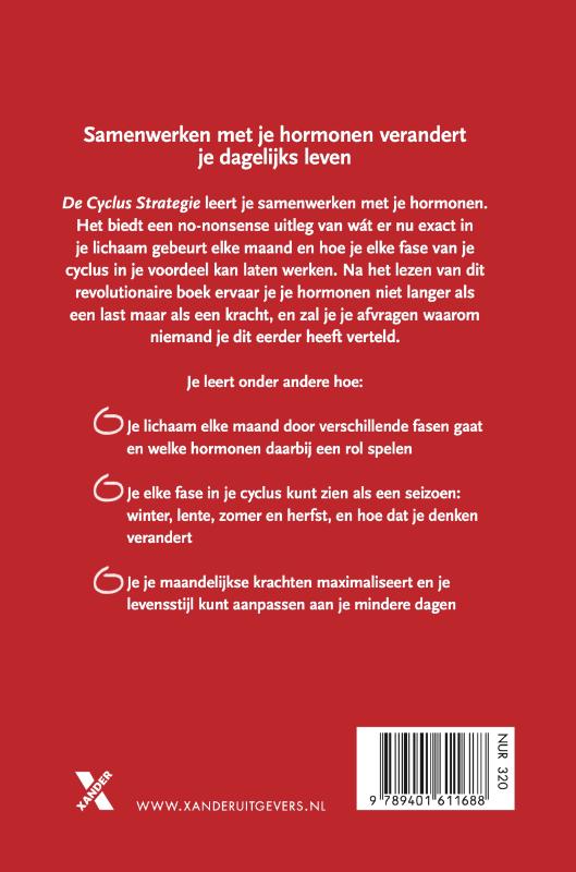 Achterkant van De cyclus strategie