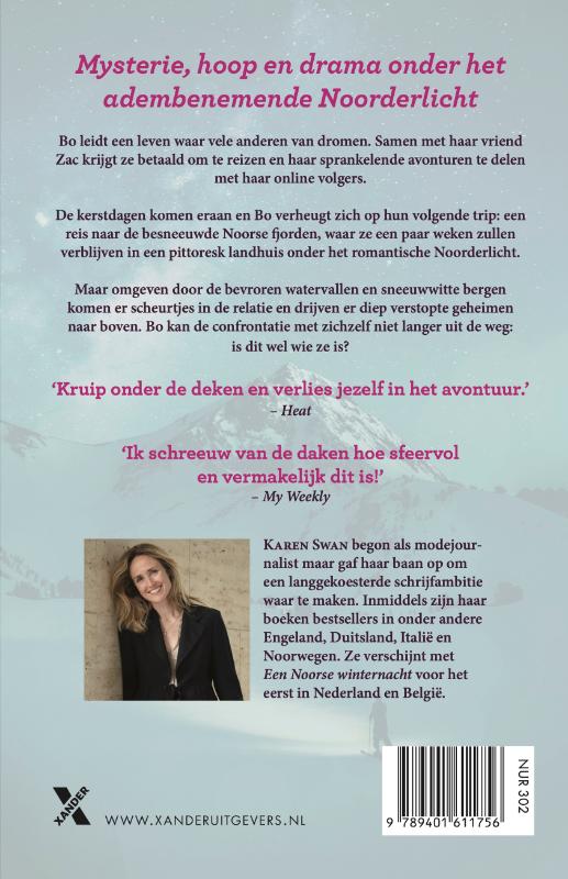 Achterkant van Een Noorse winternacht