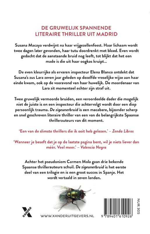 Achterkant van De zigeunerbruid