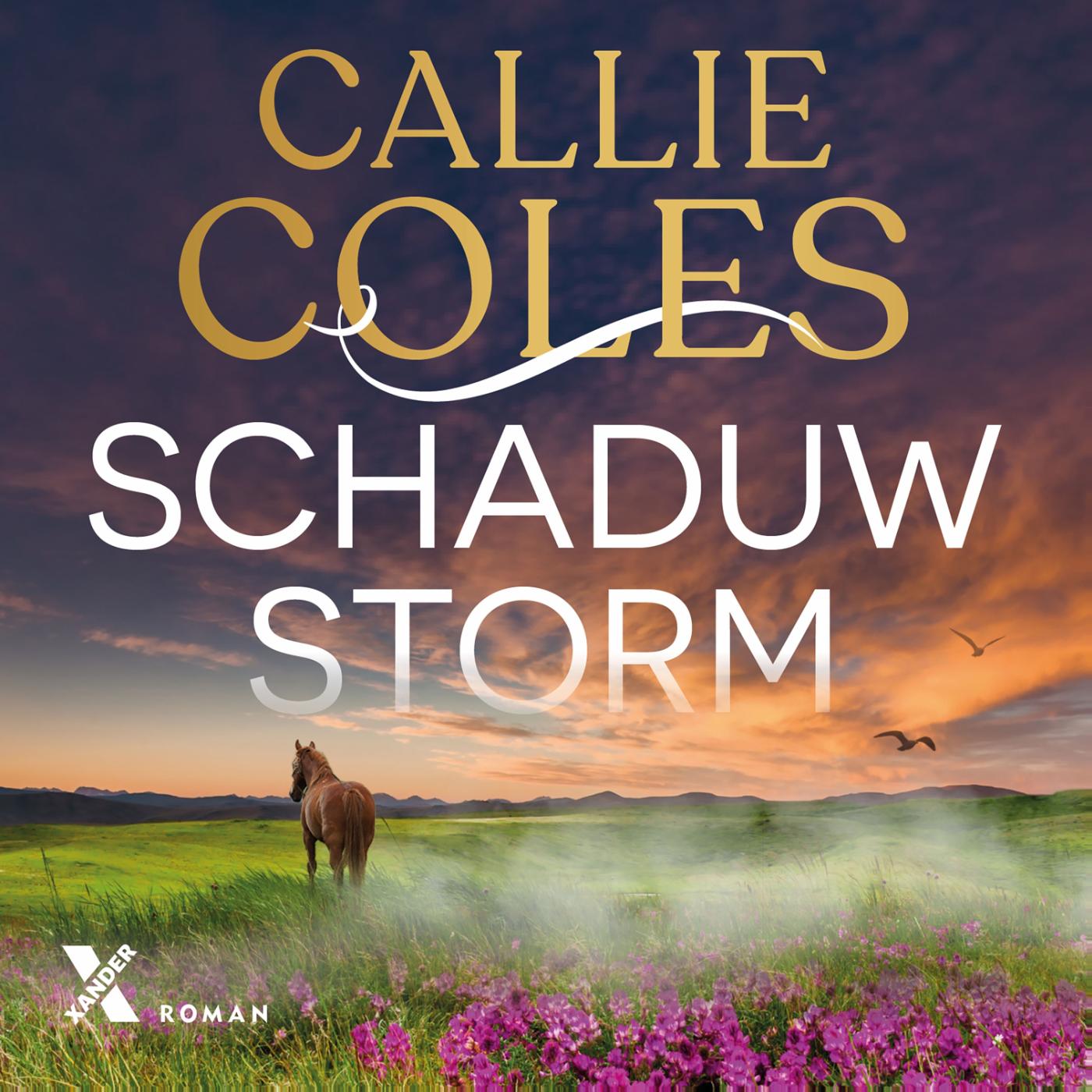 Achterkant van Schaduwstorm