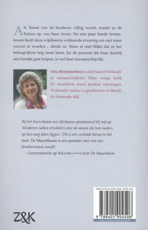 Achterkant van Verdwaalde zwaluw