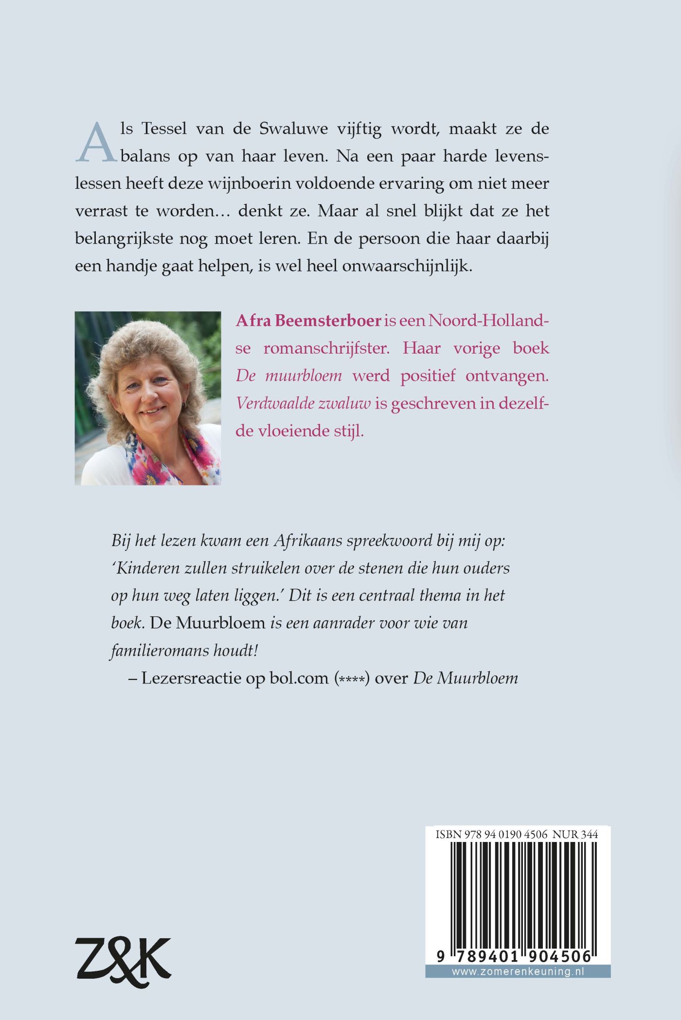 Achterkant van Verdwaalde zwaluw