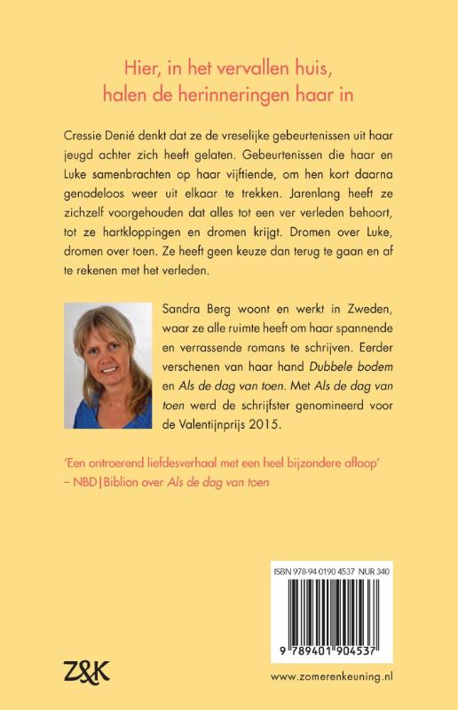 Achterkant van Voorbij de duisternis