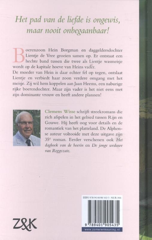 Achterkant van Het wasmeisje van Zuiderhove