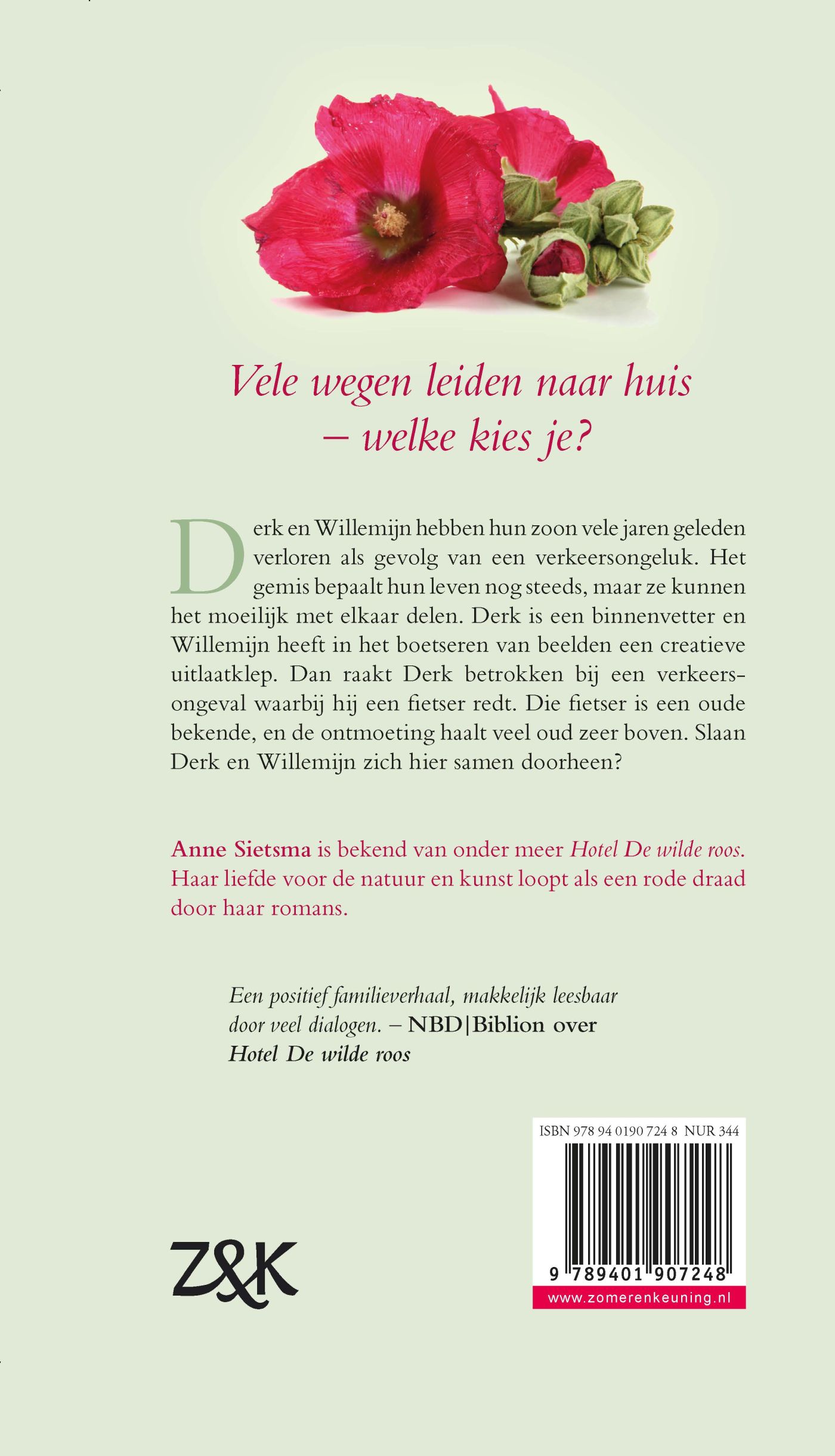 Achterkant van De weg naar huis