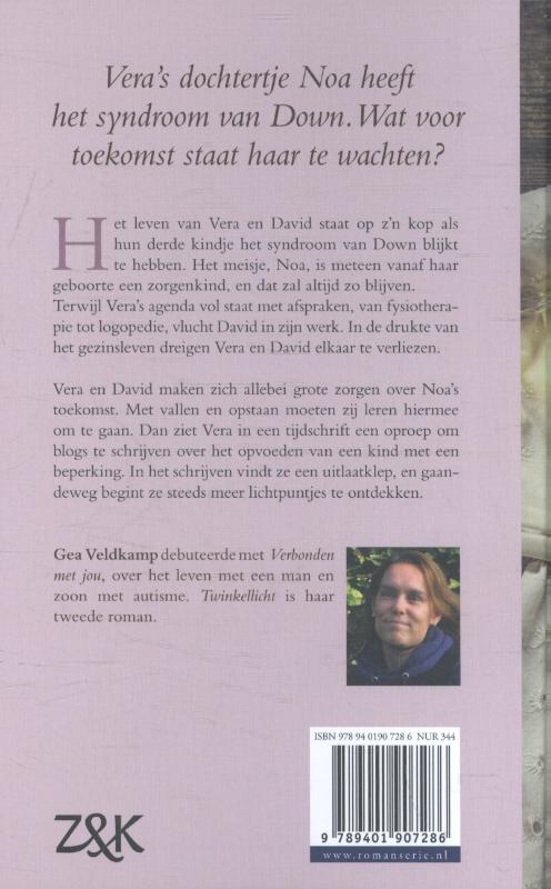 Achterkant van Twinkellicht