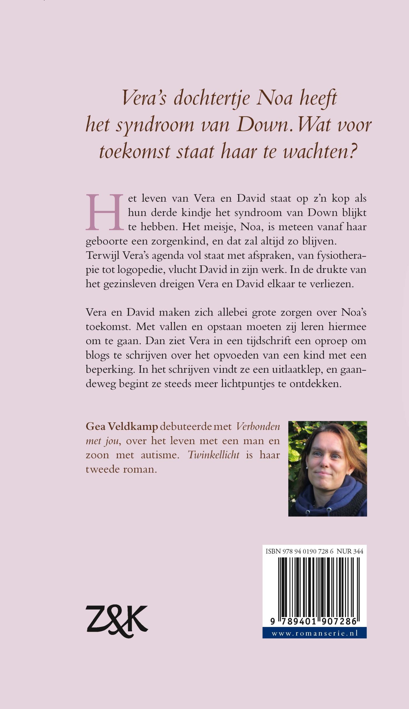 Achterkant van Twinkellicht