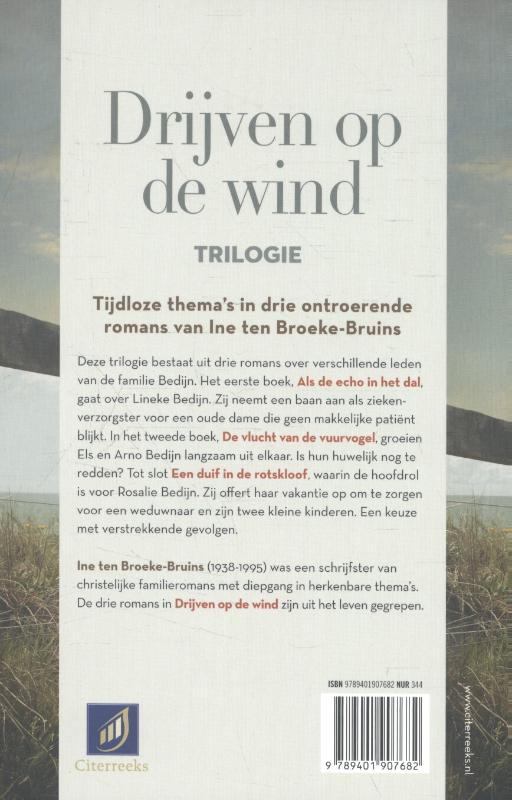 Achterkant van Drijven op de wind