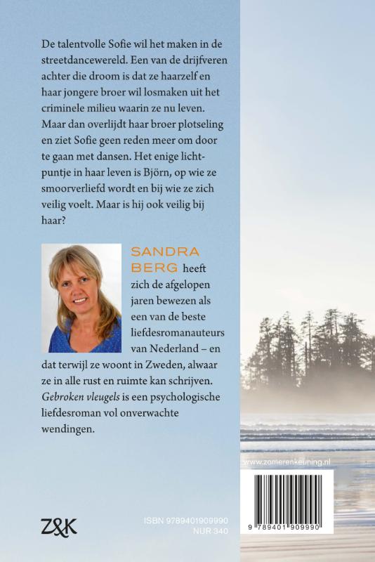 Achterkant van Gebroken vleugels