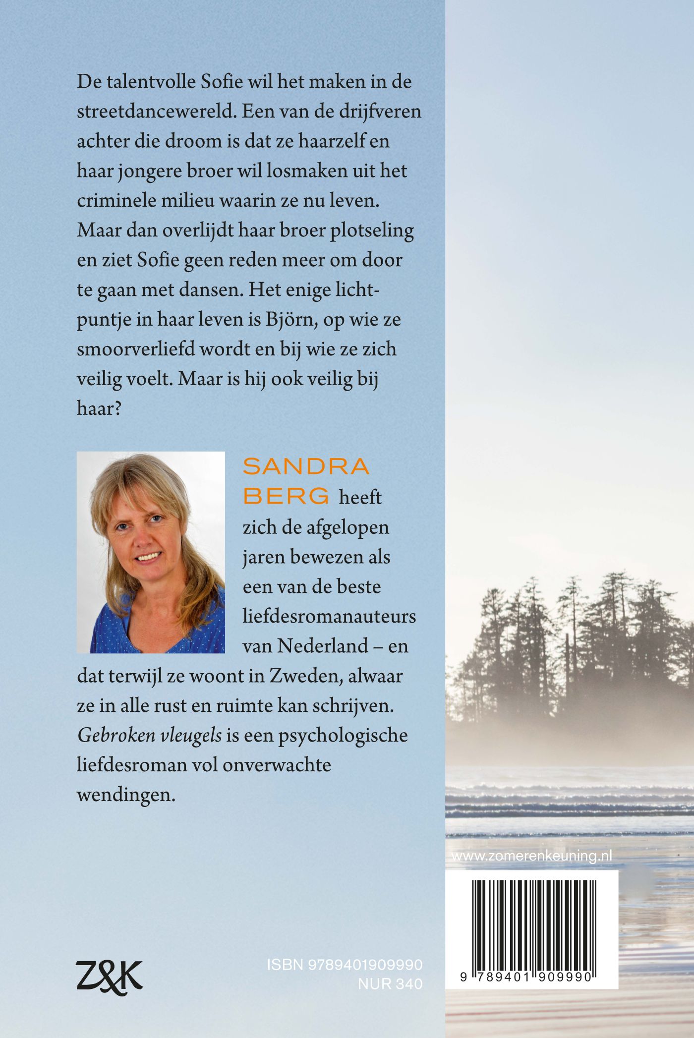 Achterkant van Gebroken vleugels