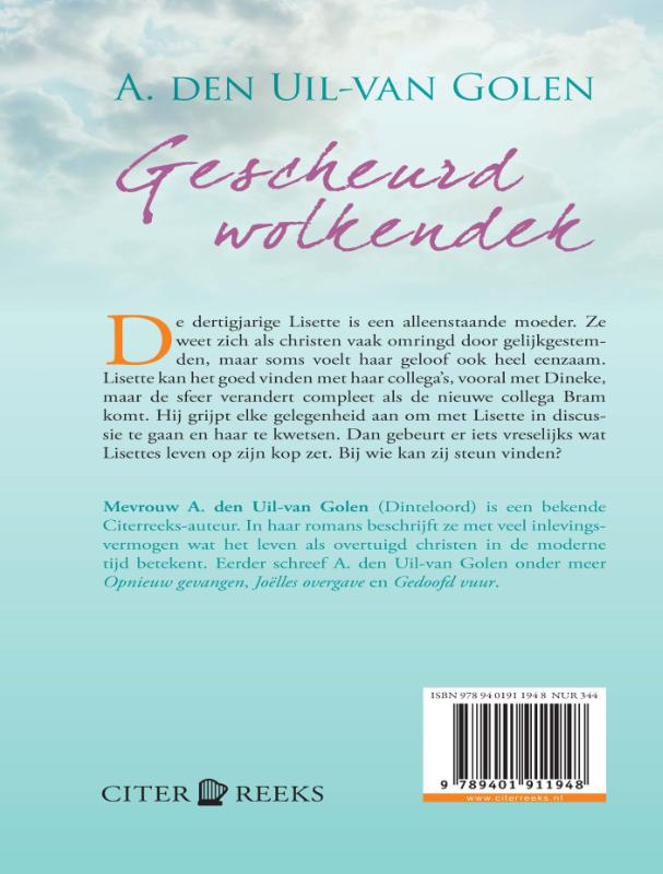 Achterkant van Gescheurd wolkendek