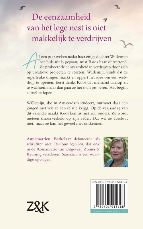 Achterkant van Scheerlicht