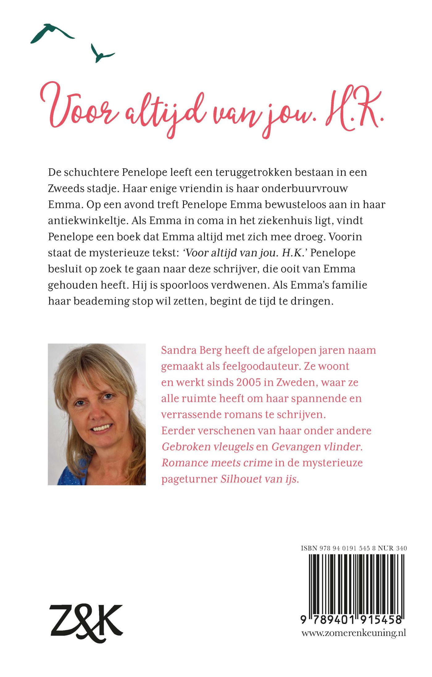 Achterkant van Silhouet van ijs