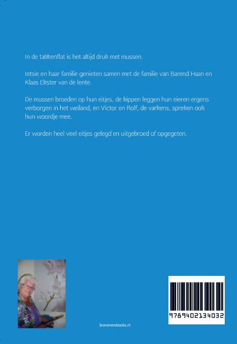 Achterkant van De Takkenflat