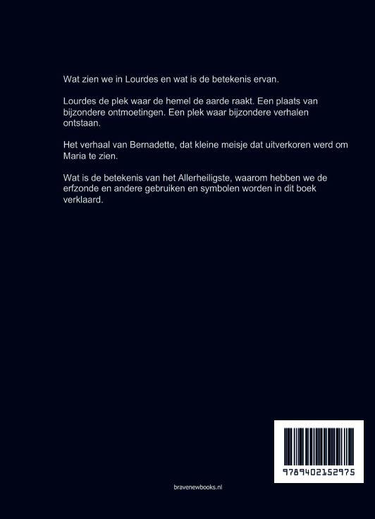 Achterkant van Lourdes door de ogen van een hotelleider