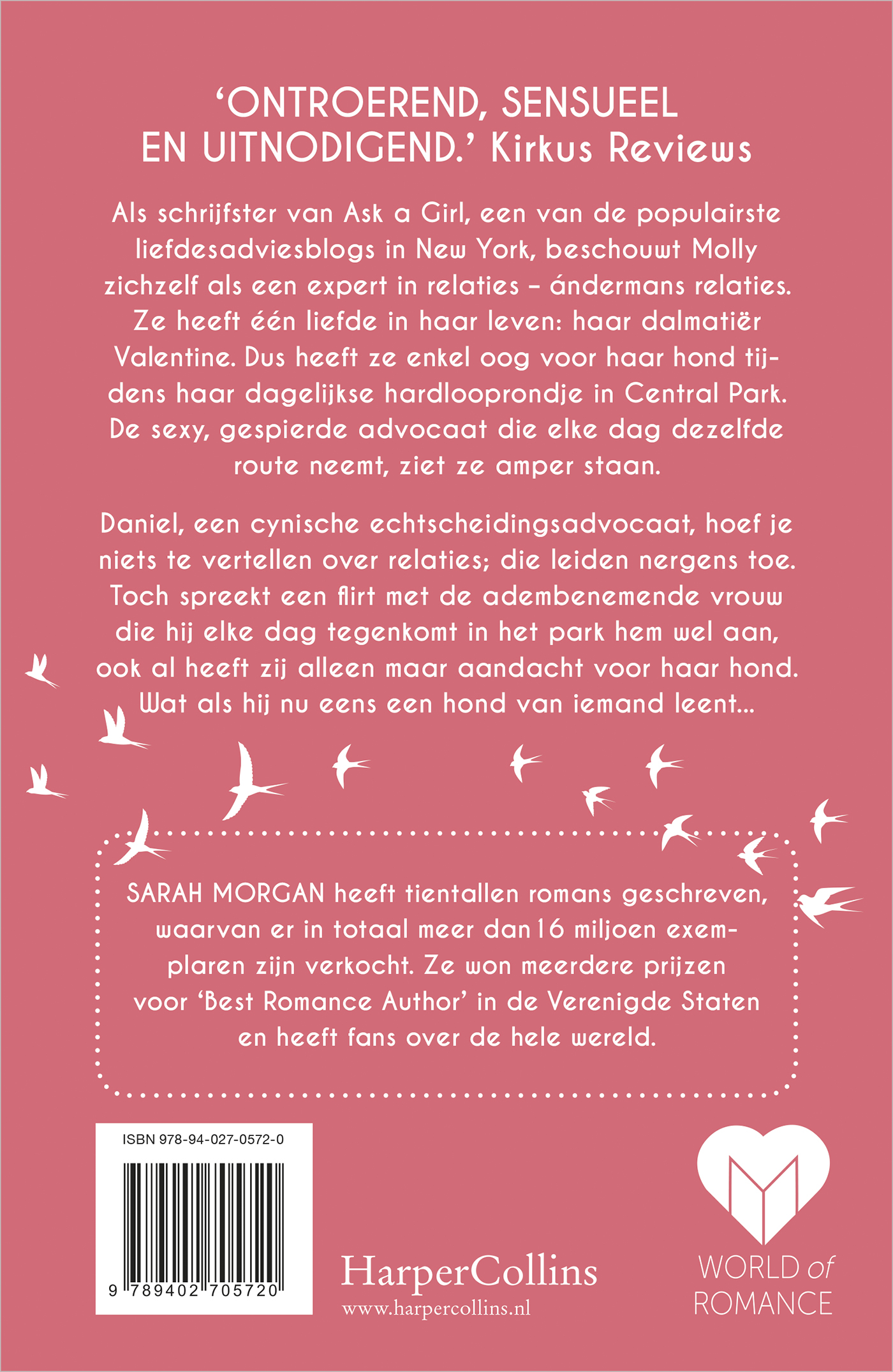 Achterkant van Dromen in de ochtendzon