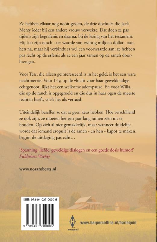 Achterkant van Wolken boven Montana