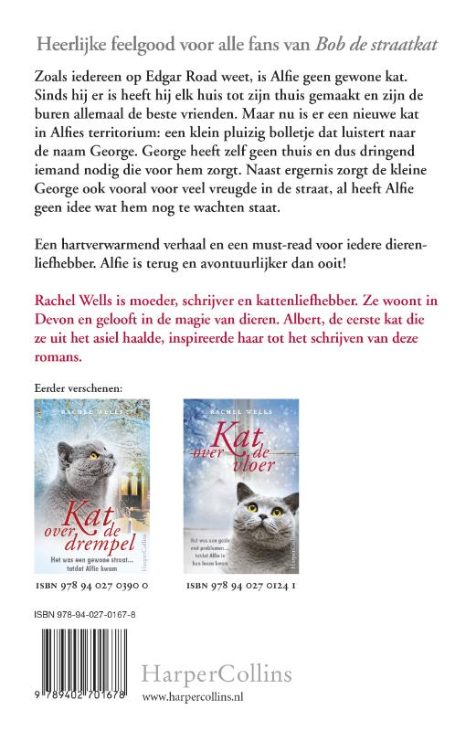 Achterkant van Kat voor de deur