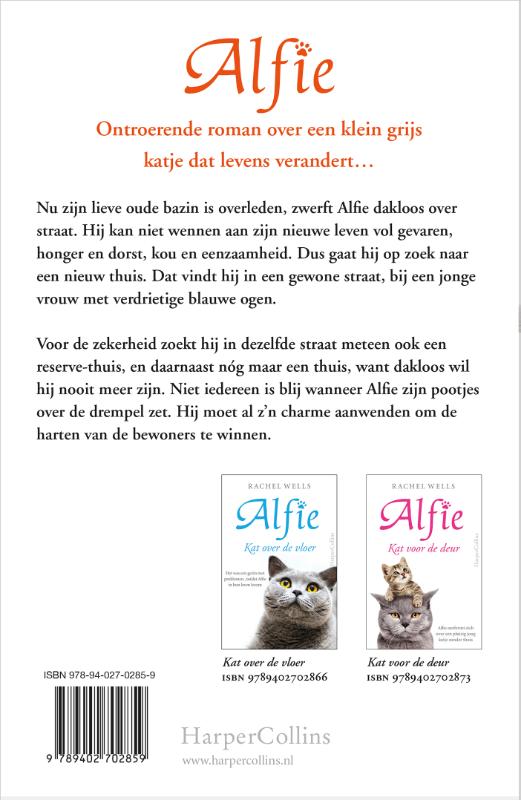 Achterkant van Kat over de drempel