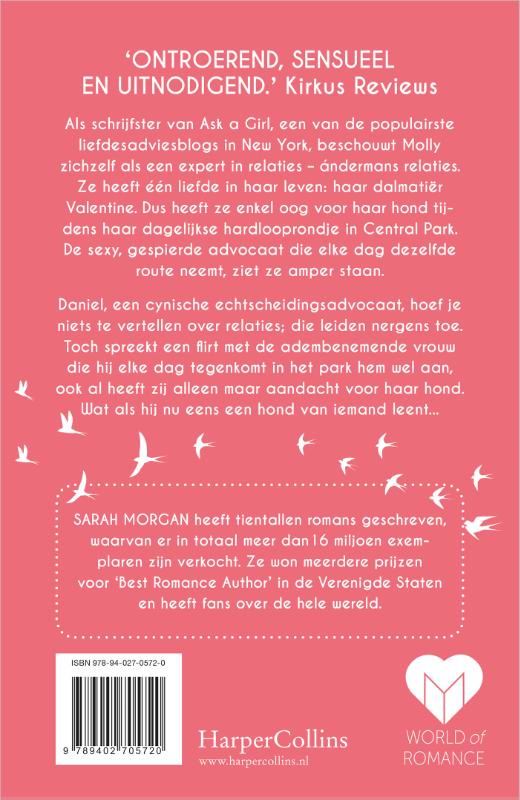 Achterkant van Dromen in de ochtendzon
