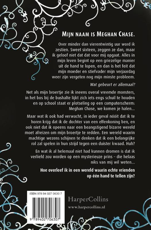 Achterkant van De IJzerkoning