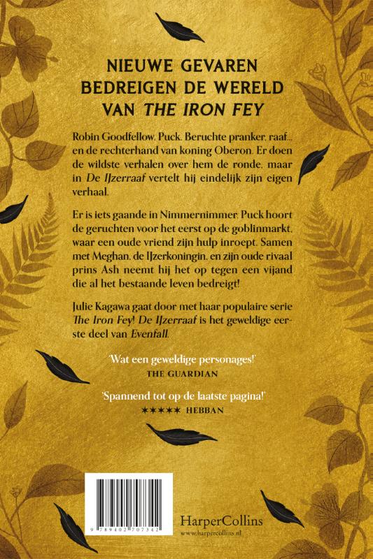 Achterkant van De IJzerraaf