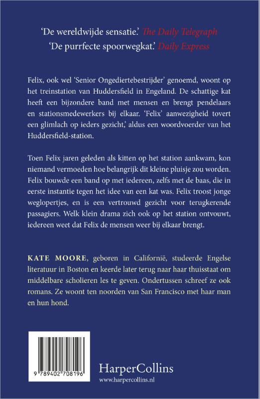 Achterkant van Felix de stationskat