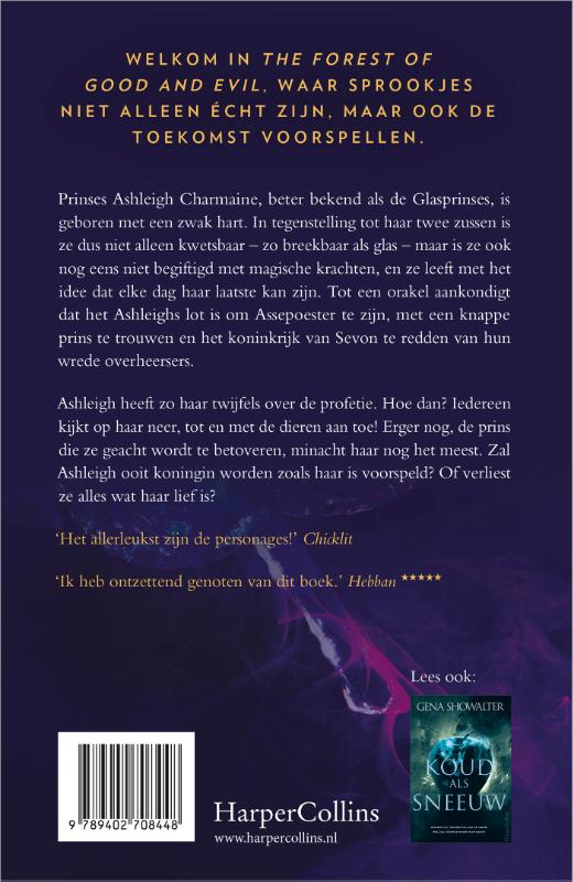 Achterkant van Breekbaar als glas