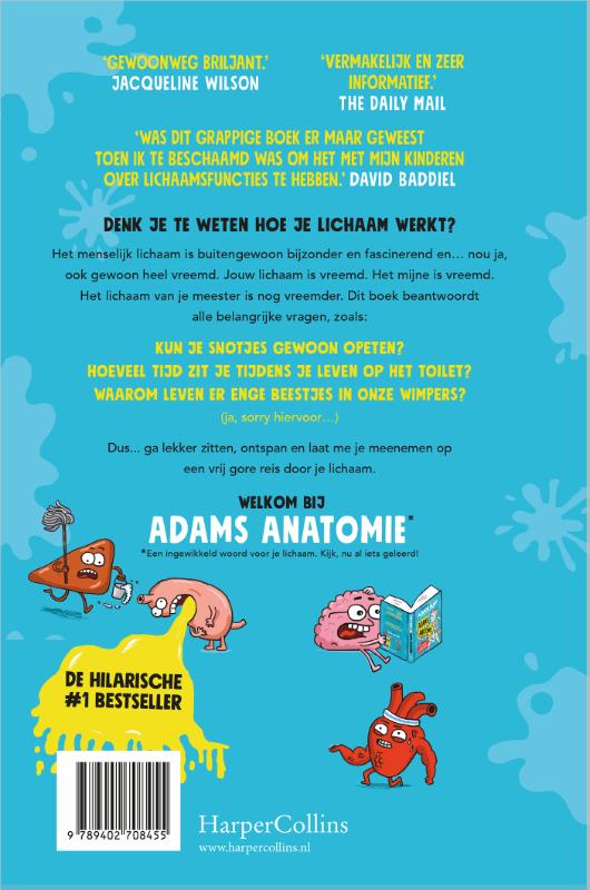 Achterkant van Adams anatomie