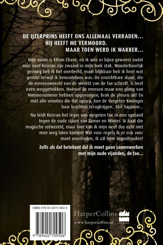 Achterkant van De IJzerstrijder
