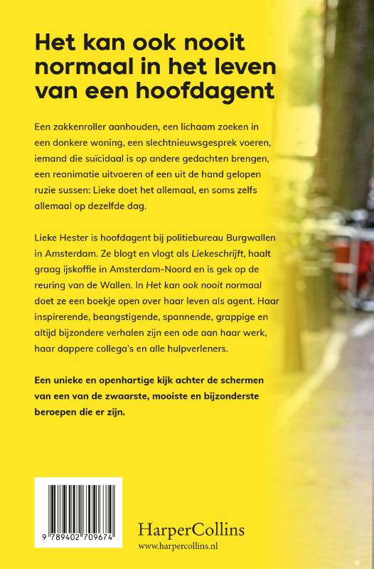 Achterkant van Het kan ook nooit normaal
