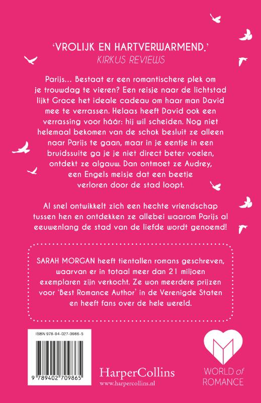 Achterkant van Een zomer in Parijs
