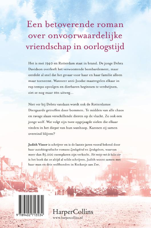 Achterkant van Het meisje met de halve ster