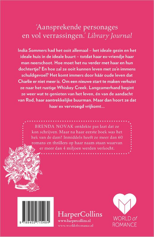 Achterkant van Het ideale plaatje