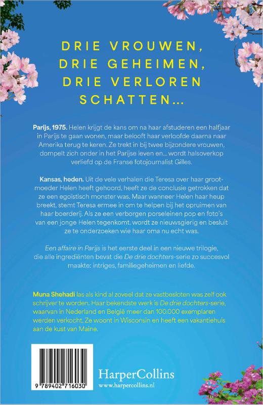Achterkant van Een affaire in Parijs