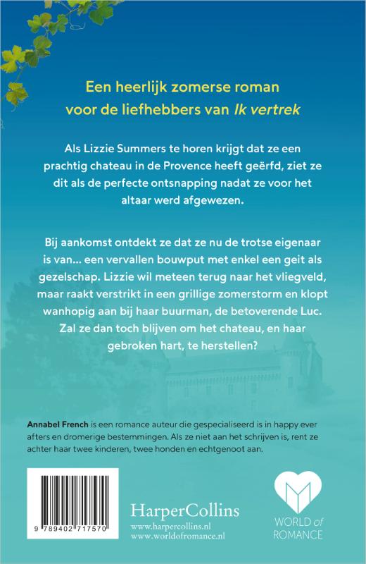 Achterkant van Een zomer op het chateau