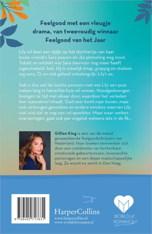 Achterkant van Als ik je weer zie