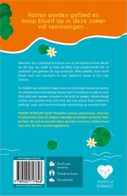 Achterkant van De beste zomer ooit