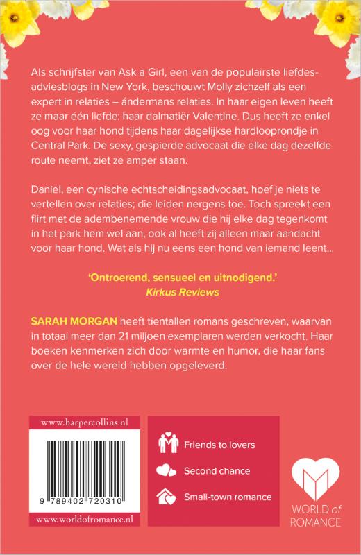 Achterkant van Dromen in de ochtendzon