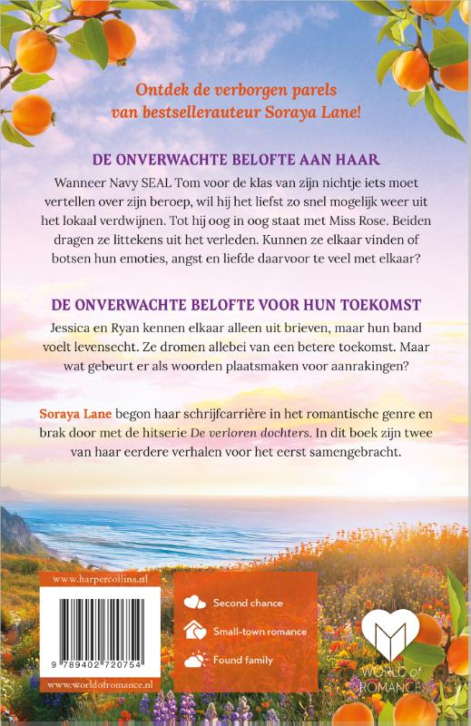 Achterkant van De onverwachte belofte